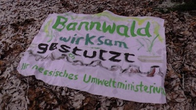 Robin-Wood-Banner 'Bannwald gestutzt'