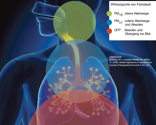 Feinstaub-Wirkungen
