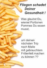 Grafik: Pommes, Fliegen und Gesundheit